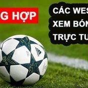 Top 8 website xem bóng đá trực tuyến hấp dẫn